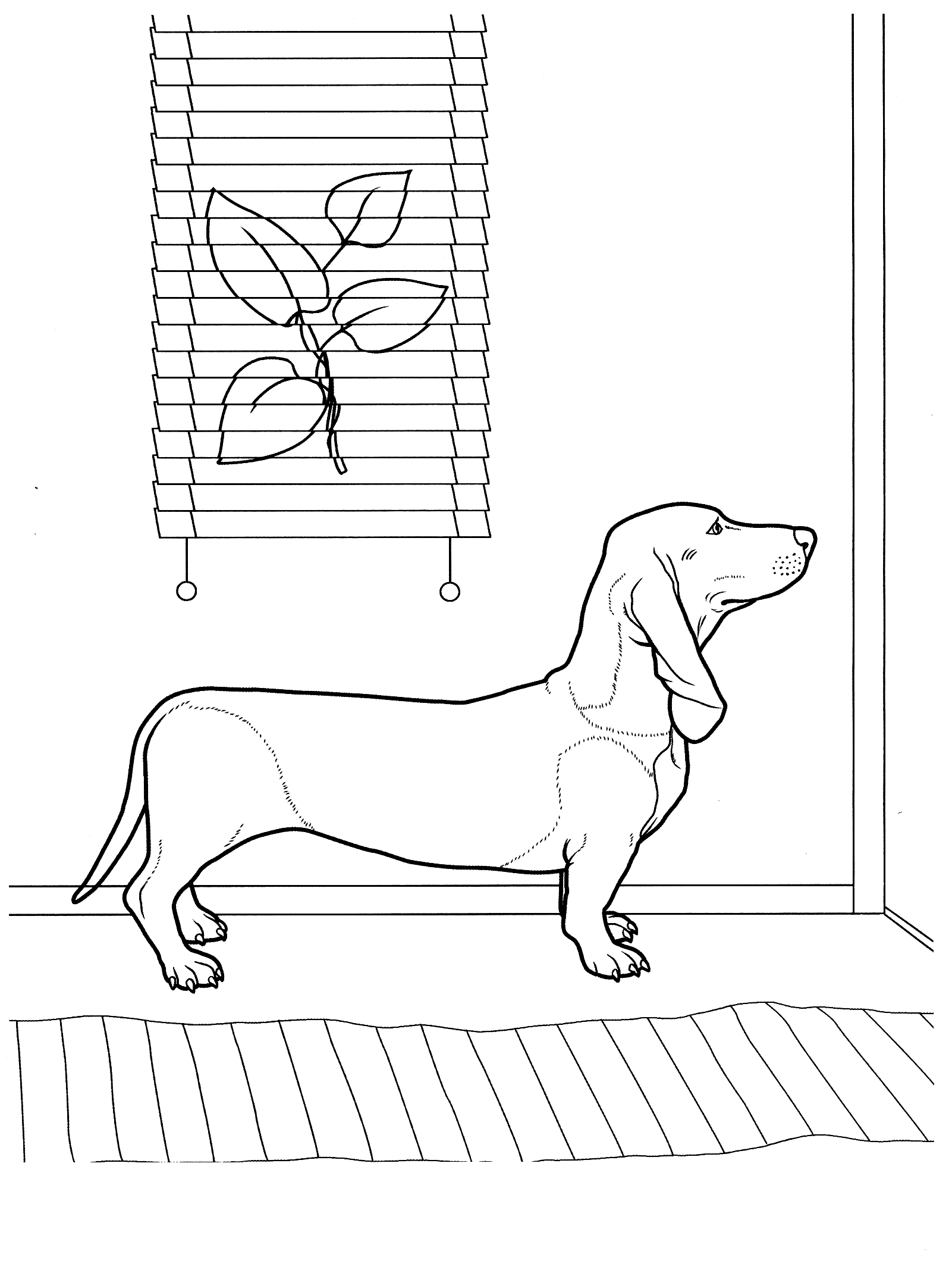 dachshund dog coloring page printable jpg