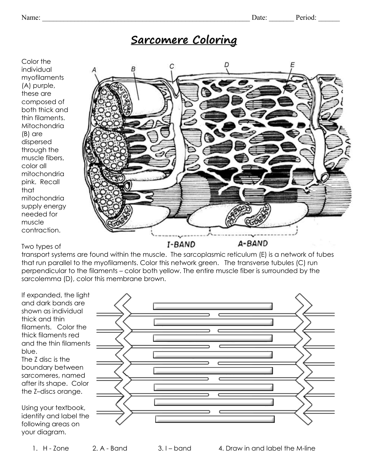 31 Heat Transfer Coloring Pages Answer Key Printable 12