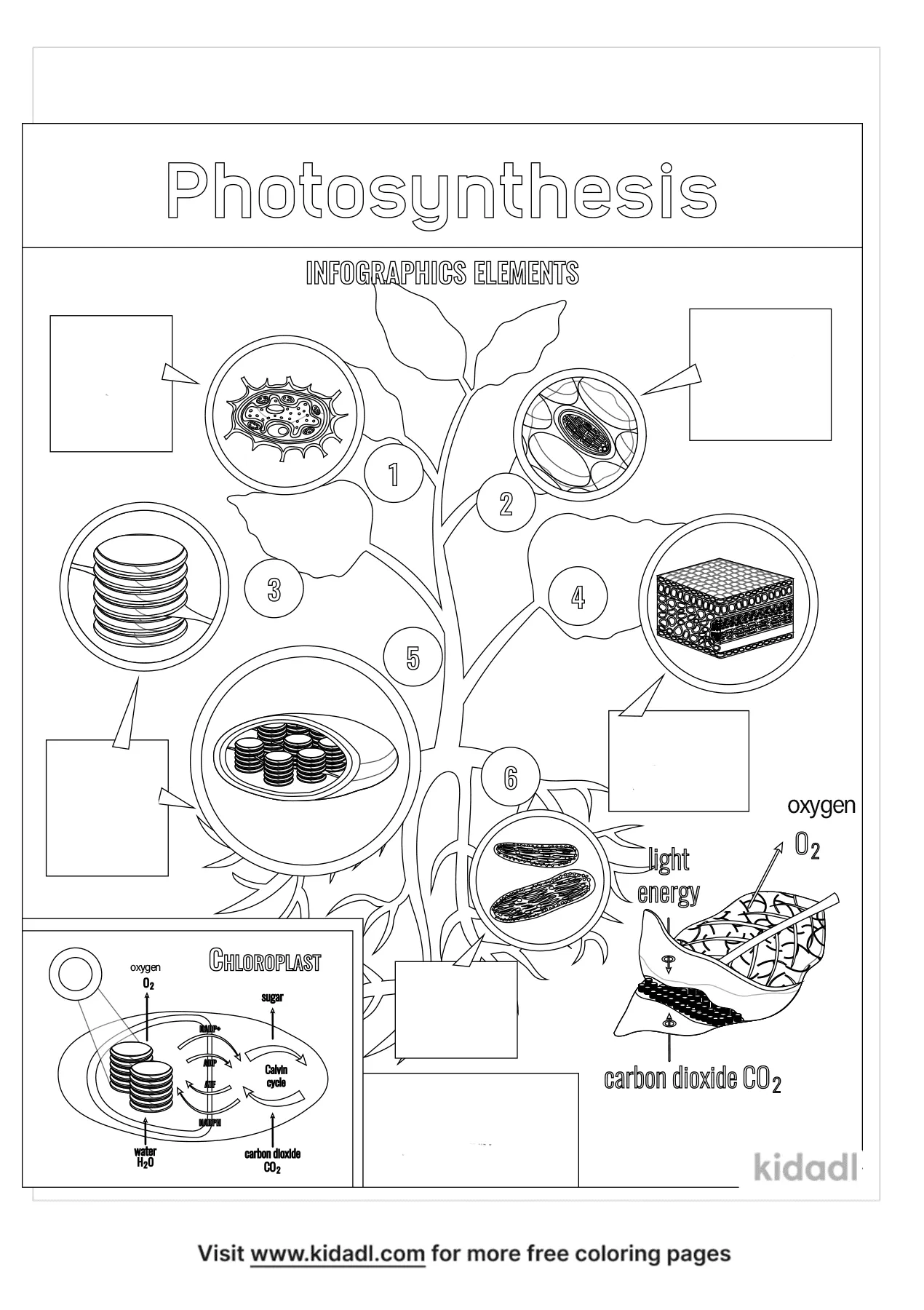 31 Heat Transfer Coloring Pages Answer Key Printable 19