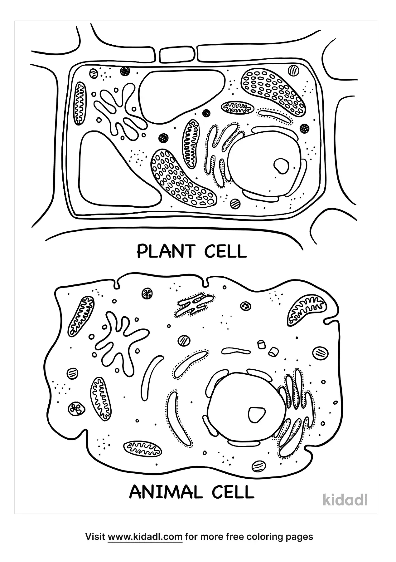 31 Heat Transfer Coloring Pages Answer Key Printable 35