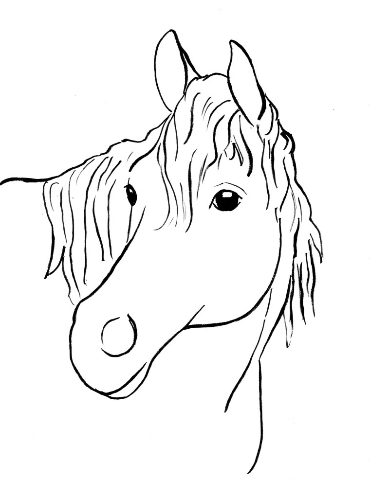 rodeo horse coloring pages printable jpg