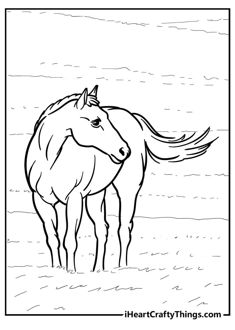 31 Rodeo Horse Coloring Pages Printable 21