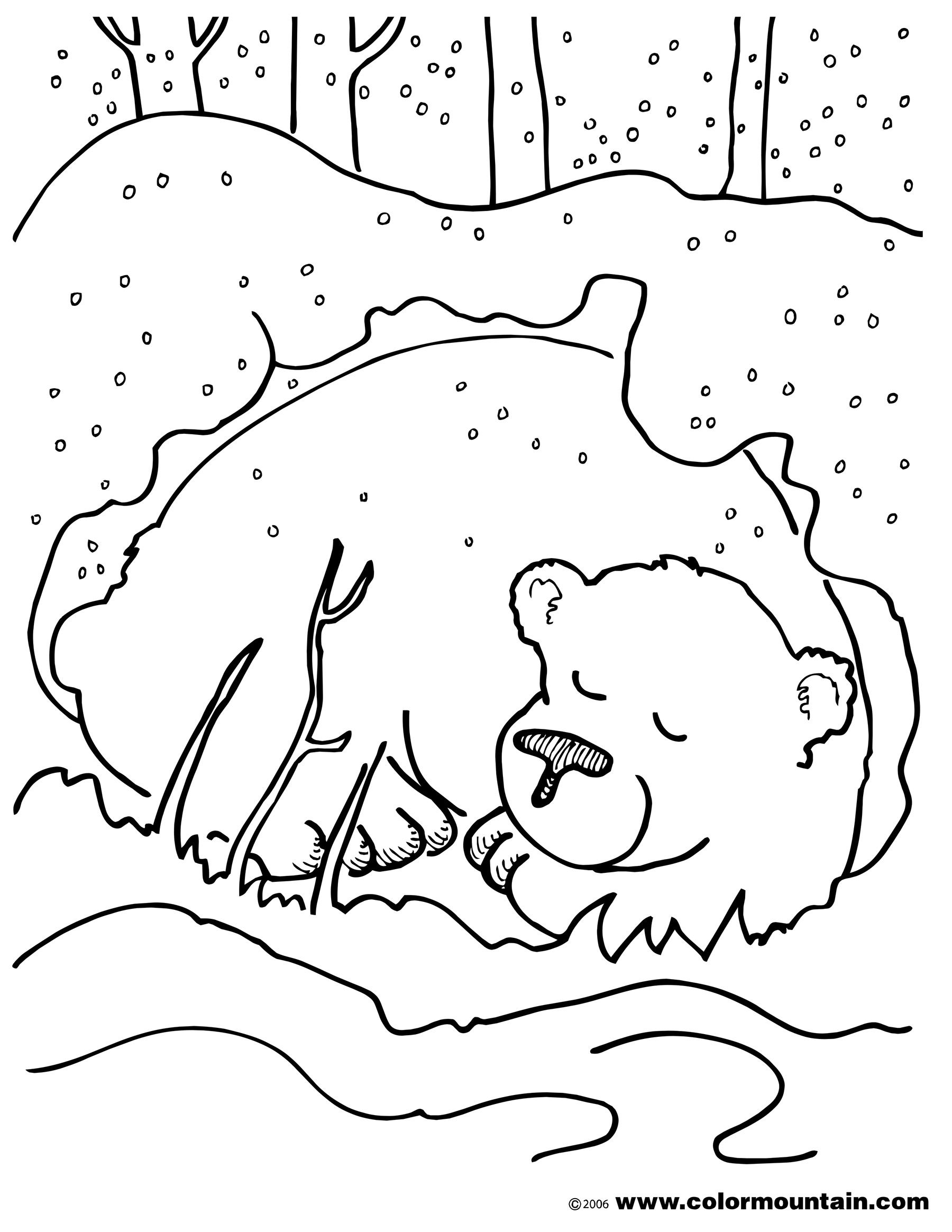 winter bear coloring pages printable jpg