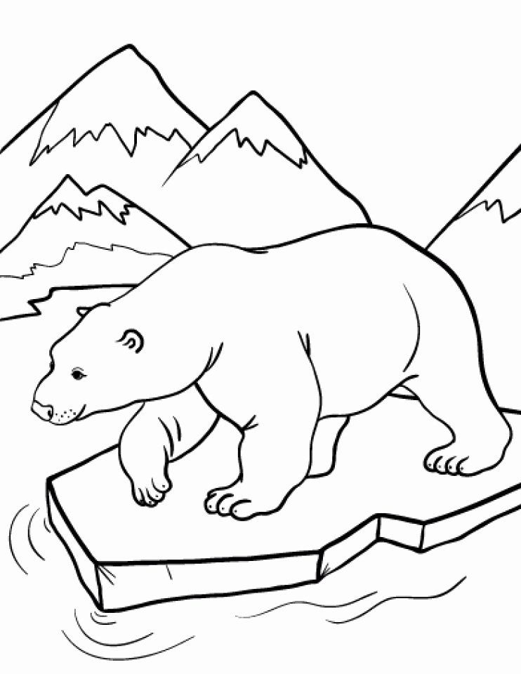 31 Winter Bear Coloring Pages Printable 6