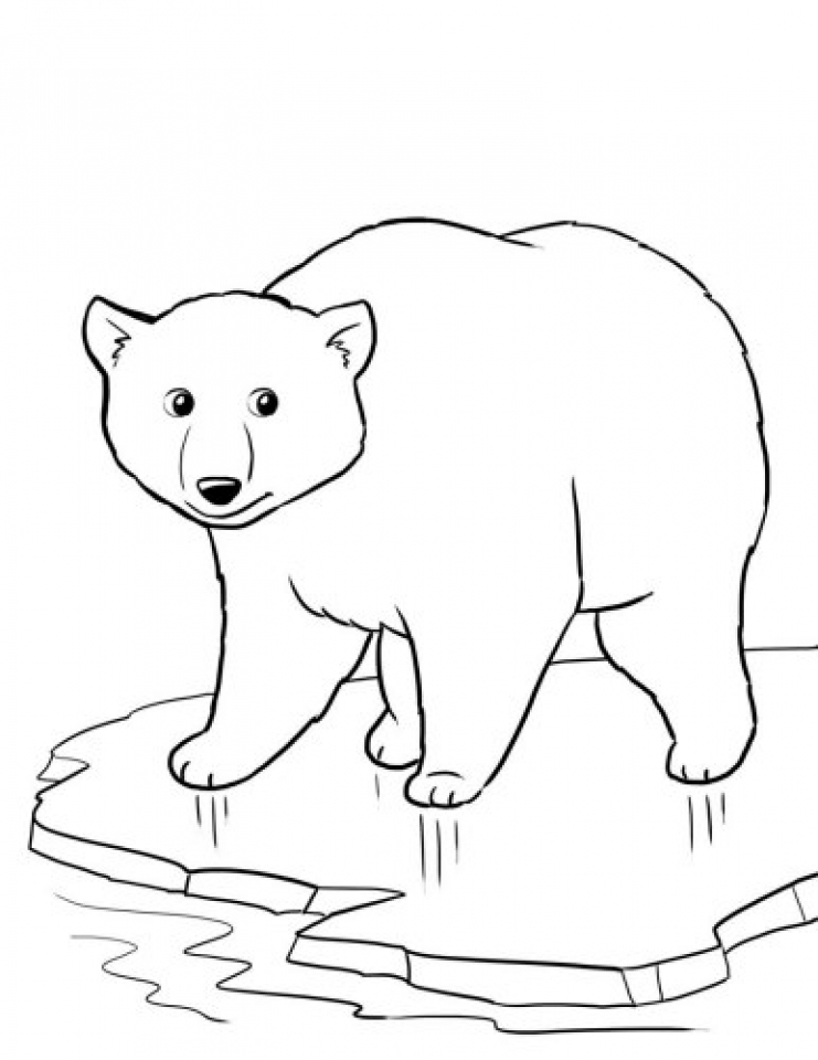 31 Winter Bear Coloring Pages Printable 8