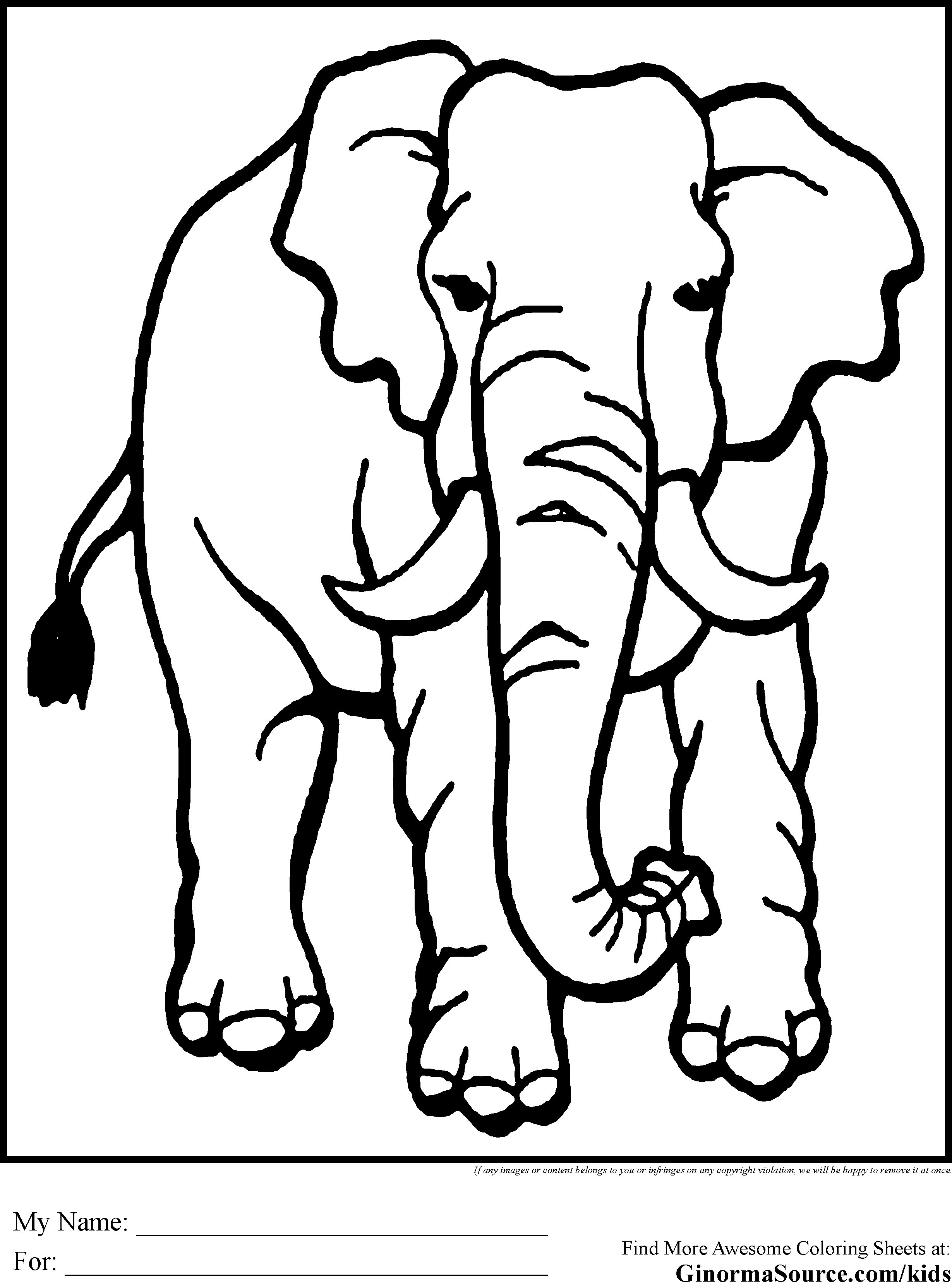 32 Animal Coloring Pages Online Free Printable 15