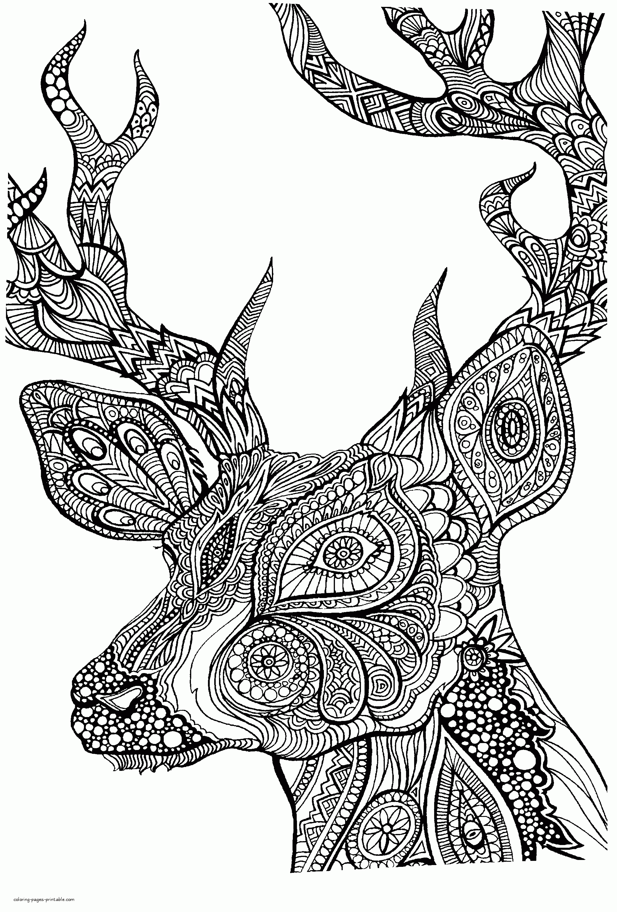 32 Animal Coloring Pages Online Free Printable 25