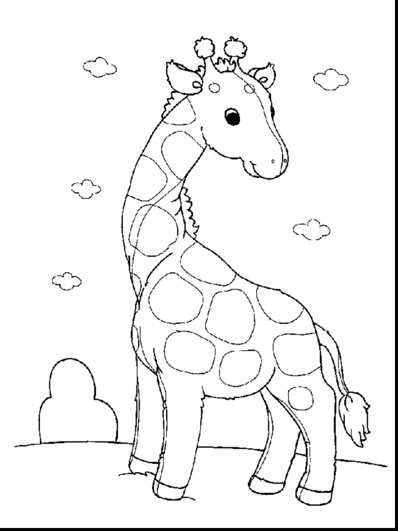 32 Animal Coloring Pages Online Free Printable 7