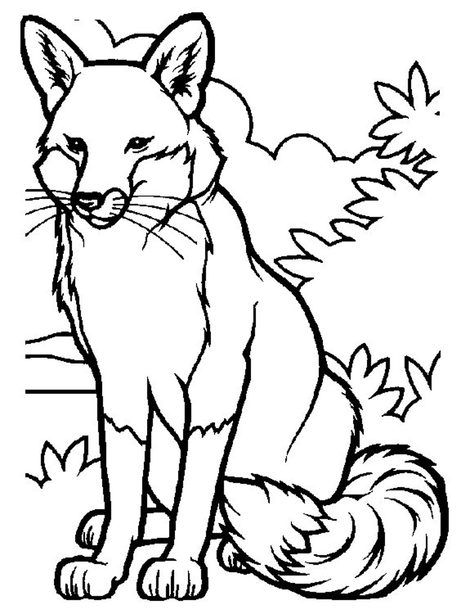 32 Animal Coloring Pages Online Free Printable 9