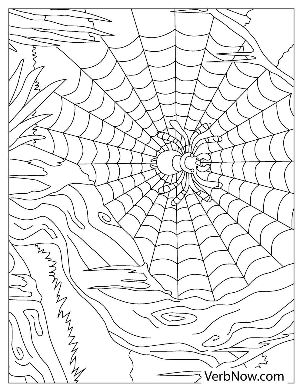 35 Exciting Halloween Spider Coloring Pages Printable 20