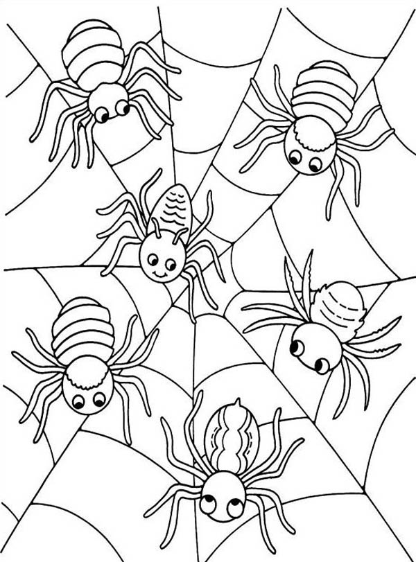 35 Exciting Halloween Spider Coloring Pages Printable 25