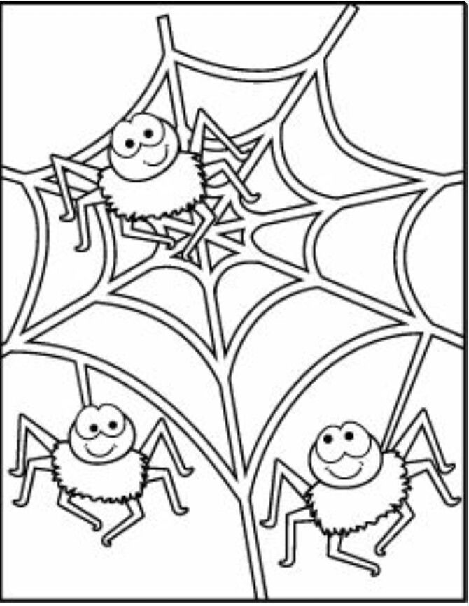 35 Exciting Halloween Spider Coloring Pages Printable 3