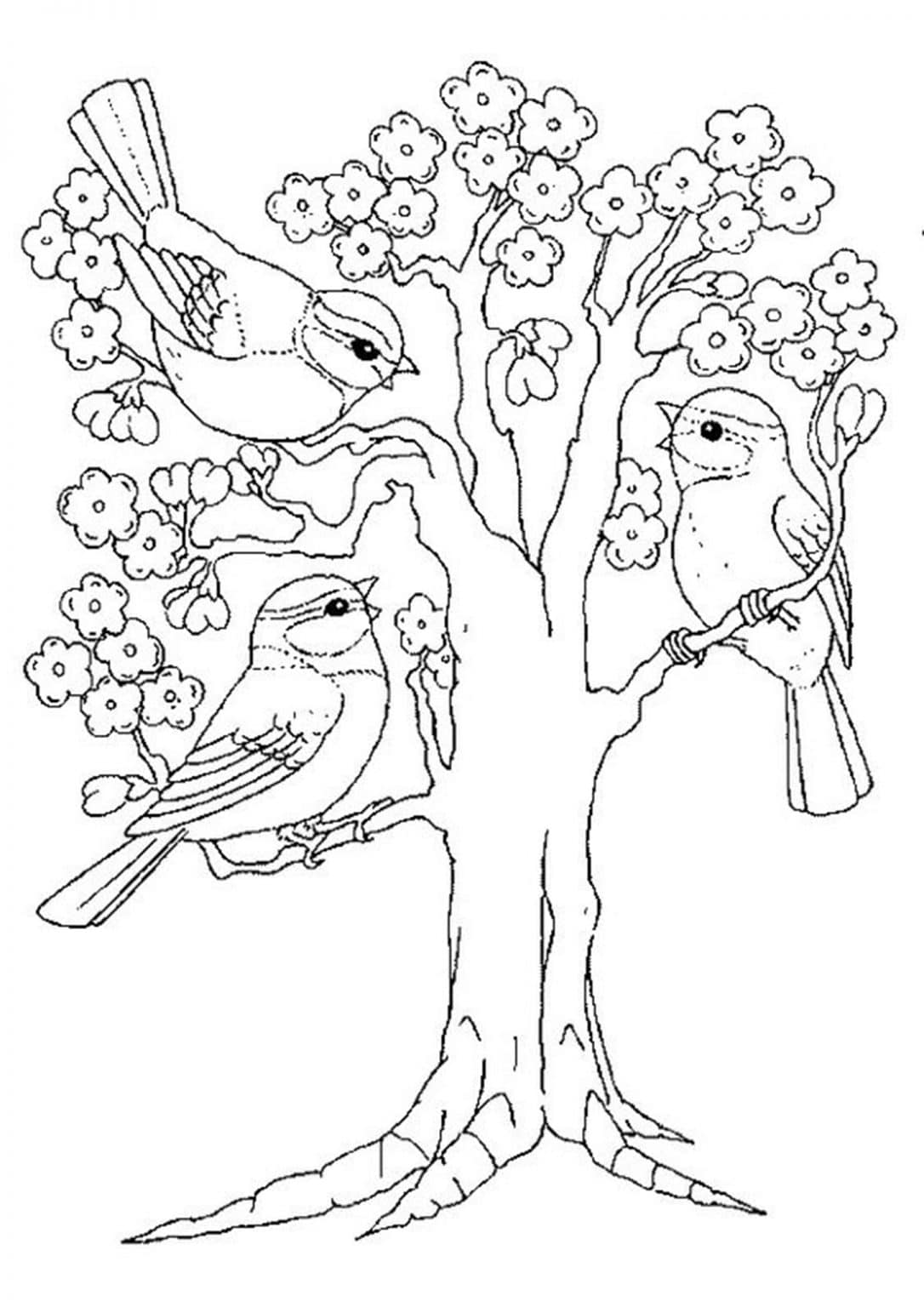 37 Cute and Easy Bird Coloring Pages Printable 12