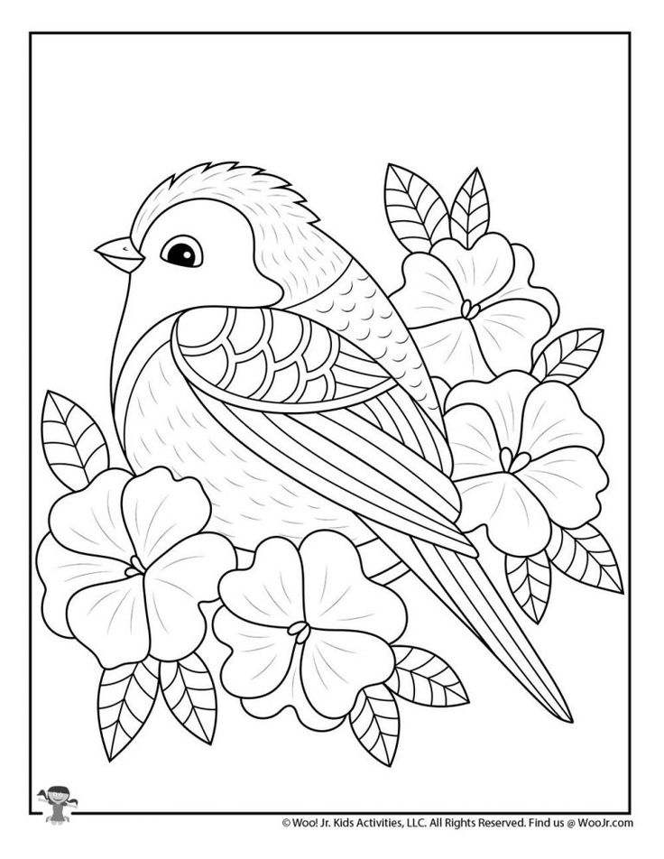 37 Cute and Easy Bird Coloring Pages Printable 13