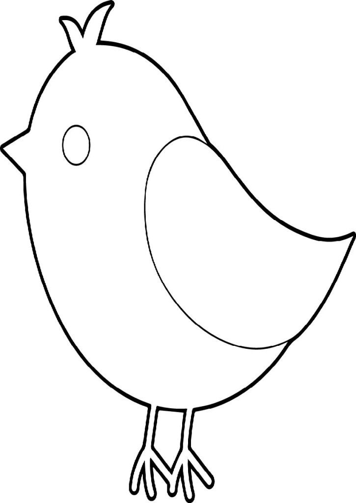 37 Cute and Easy Bird Coloring Pages Printable 14