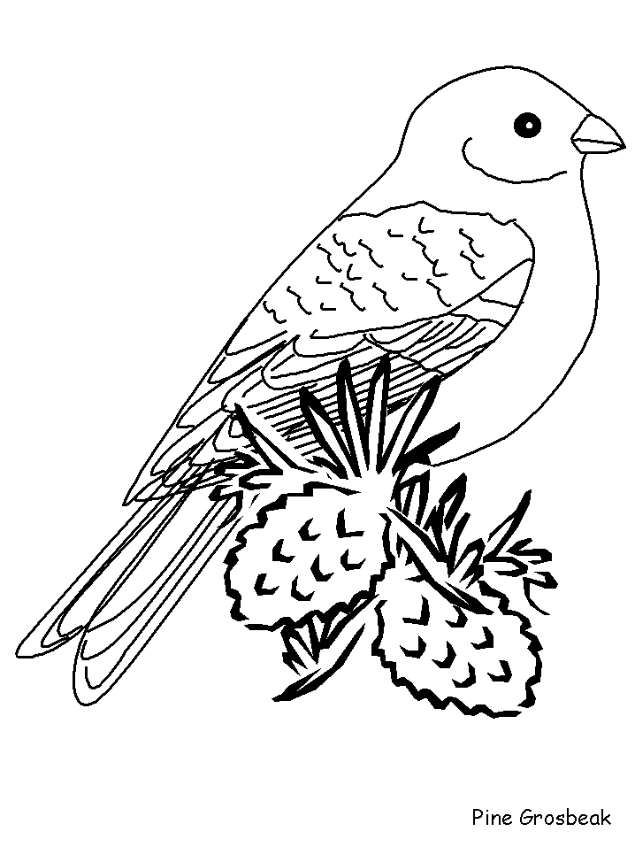 37 Cute and Easy Bird Coloring Pages Printable 17