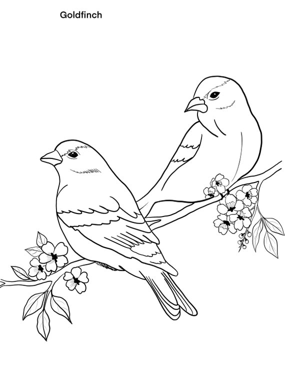 37 Cute and Easy Bird Coloring Pages Printable 27