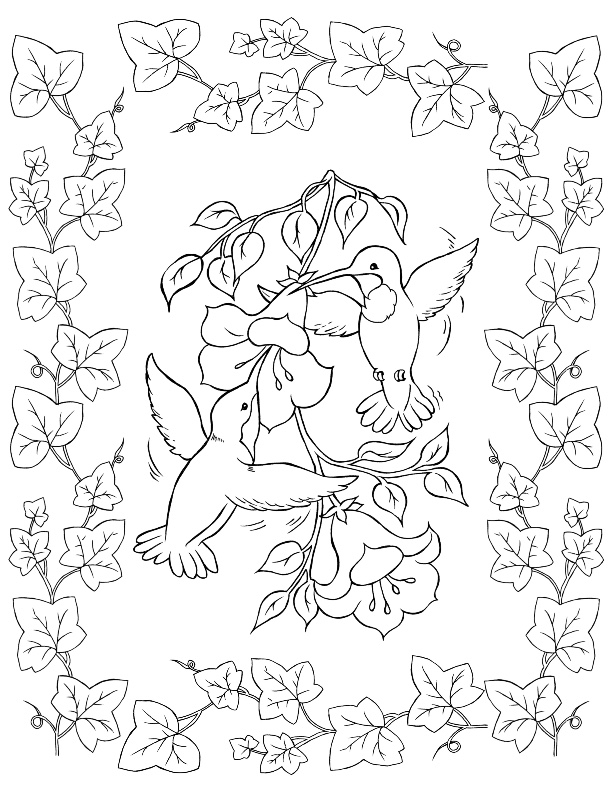 37 Cute and Easy Bird Coloring Pages Printable 29