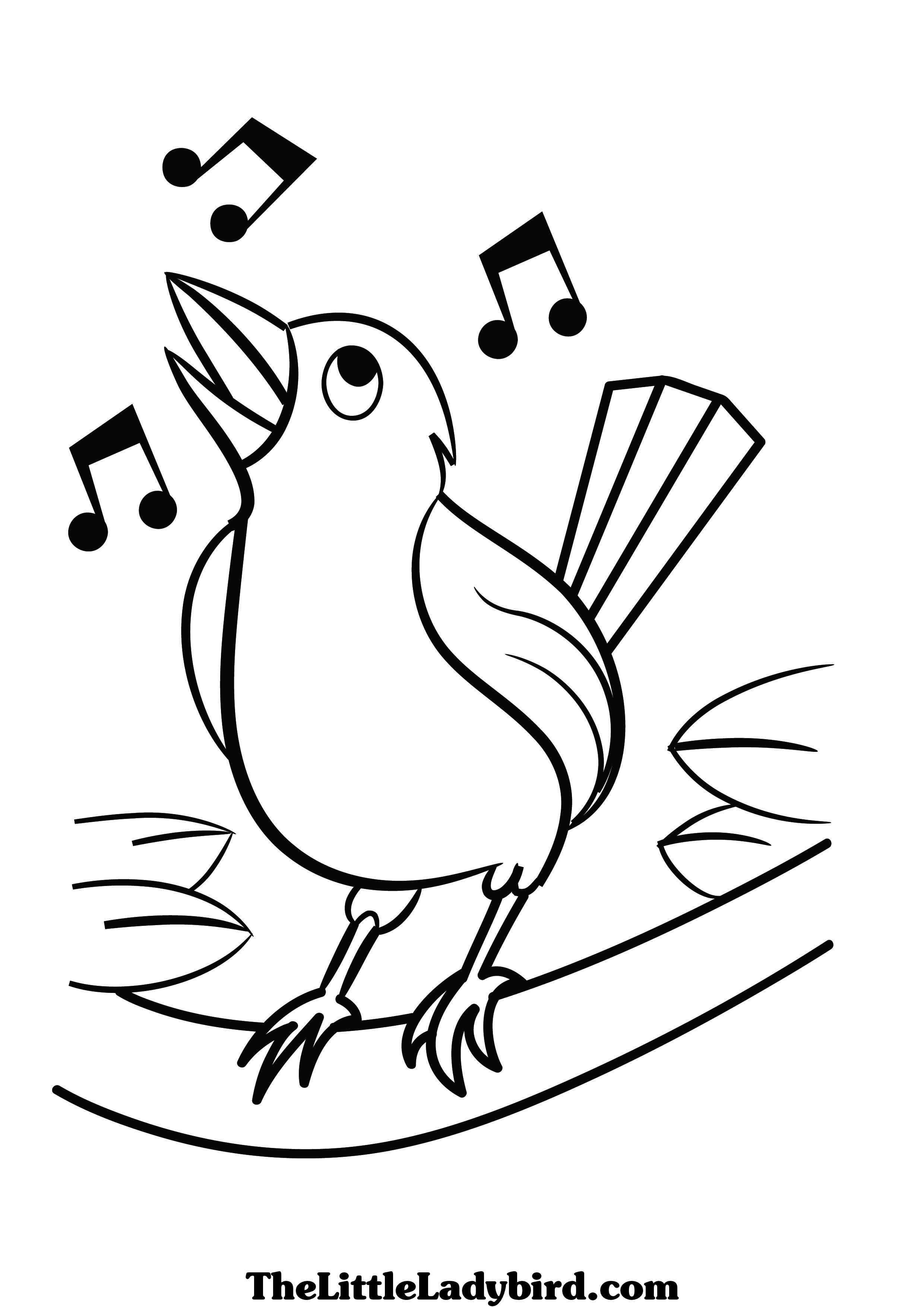 cute and easy bird coloring pages printable jpg