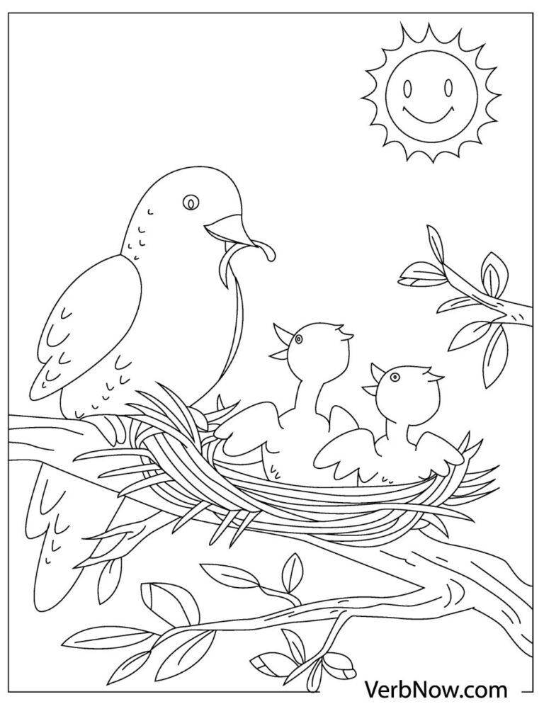 37 Cute and Easy Bird Coloring Pages Printable 6