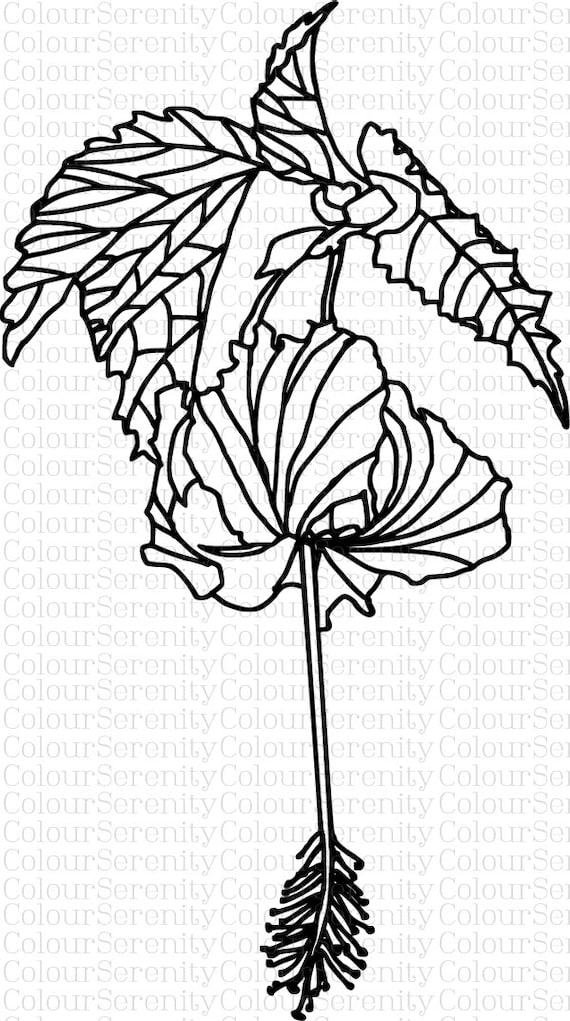 55+ Artistic Upside Down Coloring Pages Printable