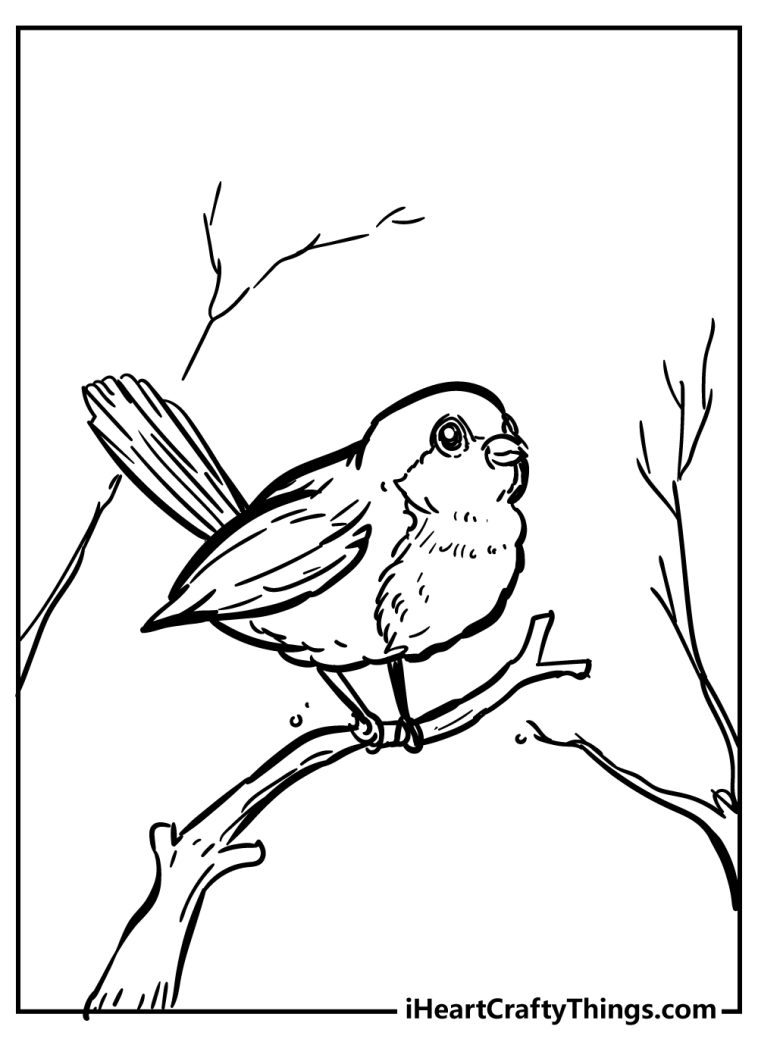 10 Robin Coloring Pages Printable: Unleash Your Inner Artist