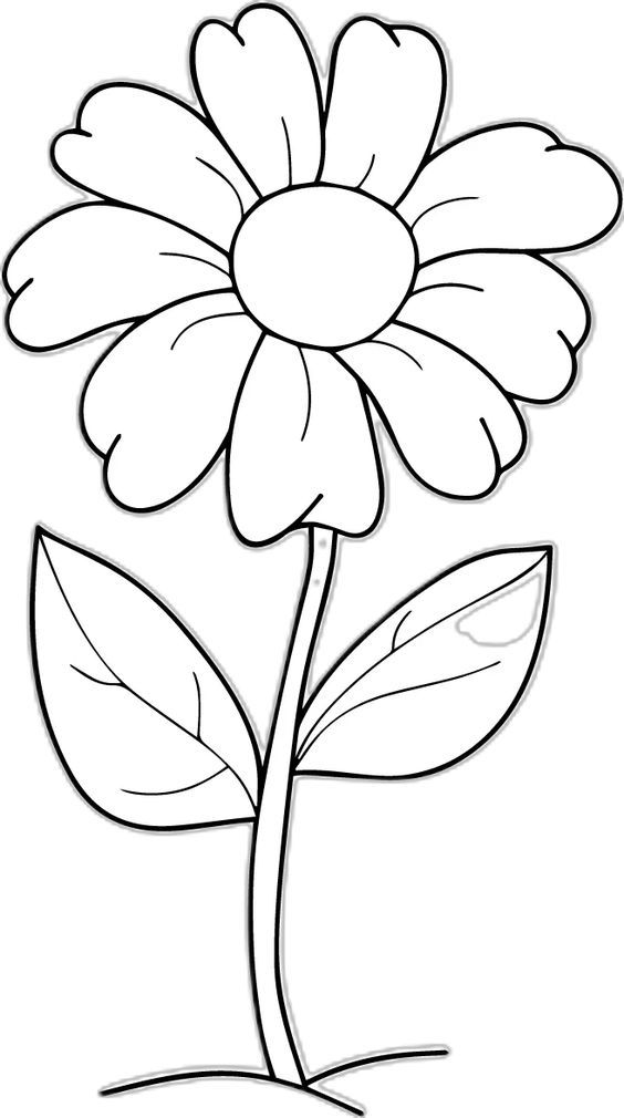 25 Simple Coloring Pages Aesthetic Free Printable 7